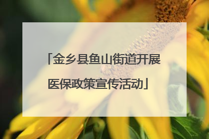 金乡县鱼山街道开展医保政策宣传活动