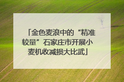金色麦浪中的“精准较量”石家庄市开展小麦机收减损大比武