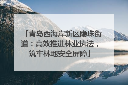 青岛西海岸新区隐珠街道：高效推进林业执法，筑牢林地安全屏障