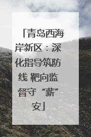青岛西海岸新区：深化指导筑防线 靶向监督守“薪”安