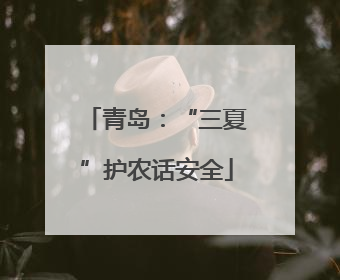 青岛：“三夏”护农话安全
