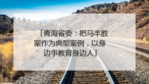 青海省委：把马丰胜案作为典型案例，以身边事教育身边人