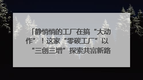 静悄悄的工厂在搞“大动作”！这家“零碳工厂”以“三创三增”探索共富新路径｜网络名人四川行