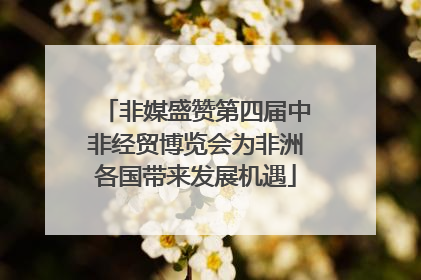 非媒盛赞第四届中非经贸博览会为非洲各国带来发展机遇