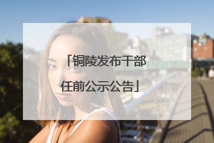 铜陵发布干部任前公示公告