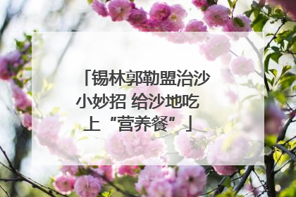 锡林郭勒盟治沙小妙招 给沙地吃上“营养餐”