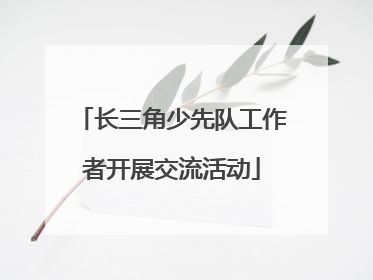 长三角少先队工作者开展交流活动