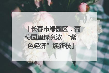 长春市绿园区：葡萄园里绿意浓 “紫色经济”焕新枝