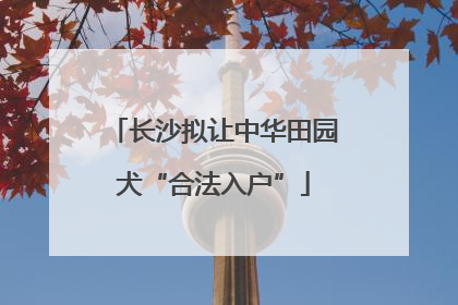长沙拟让中华田园犬“合法入户”