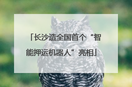长沙造全国首个“智能押运机器人”亮相