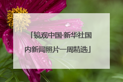 镜观中国·新华社国内新闻照片一周精选