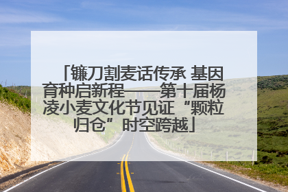 镰刀割麦话传承 基因育种启新程——第十届杨凌小麦文化节见证“颗粒归仓”时空跨越