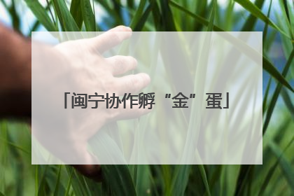 闽宁协作孵“金”蛋