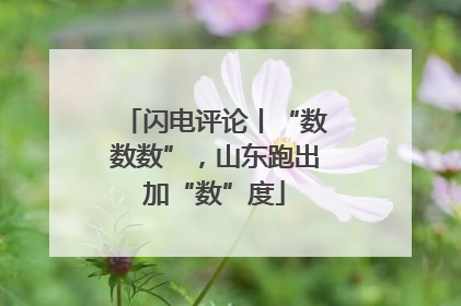 闪电评论丨“数数数”，山东跑出加“数”度