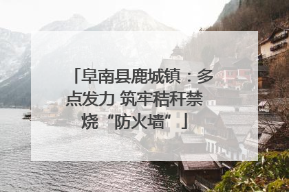 阜南县鹿城镇：多点发力 筑牢秸秆禁烧“防火墙”