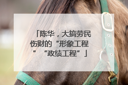陈华，大搞劳民伤财的“形象工程”“政绩工程”