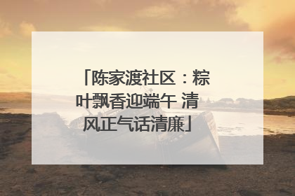 陈家渡社区：粽叶飘香迎端午 清风正气话清廉