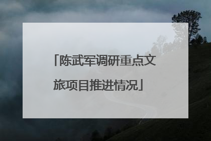 陈武军调研重点文旅项目推进情况