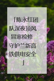 陈永红团队深夜顶风冒寒检修 守护兰新高铁供电安全