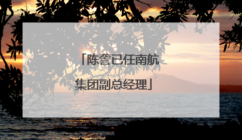 陈詟已任南航集团副总经理
