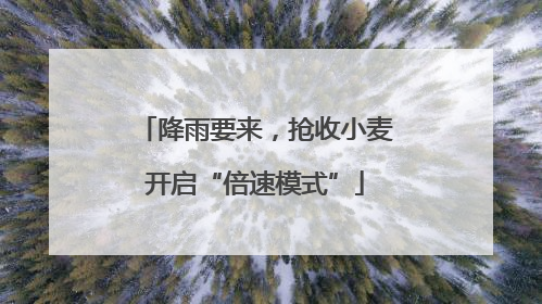 降雨要来，抢收小麦开启“倍速模式”