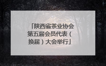 陕西省茶业协会第五届会员代表（换届）大会举行