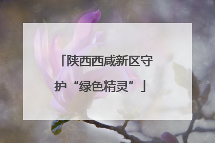 陕西西咸新区守护“绿色精灵”
