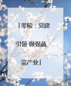 零陵：党建引领 做强蔬菜产业