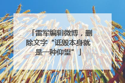 雷军编辑微博，删除文字“诋毁本身就是一种仰望”