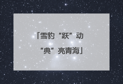 雪豹“跃”动 “典”亮青海