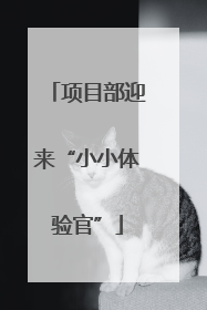 项目部迎来“小小体验官”