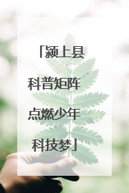 颍上县科普矩阵点燃少年科技梦