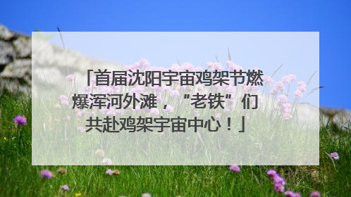 首届沈阳宇宙鸡架节燃爆浑河外滩，“老铁”们共赴鸡架宇宙中心！
