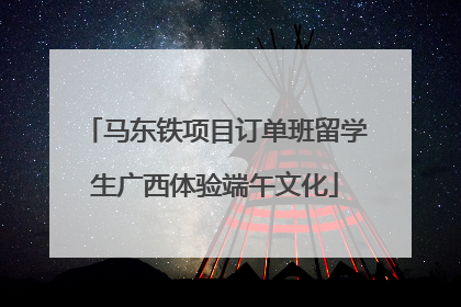 马东铁项目订单班留学生广西体验端午文化