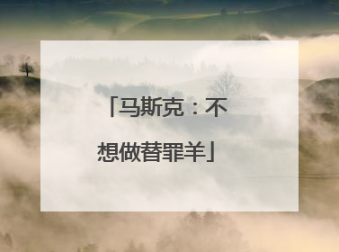马斯克：不想做替罪羊