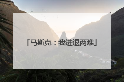 马斯克：我进退两难