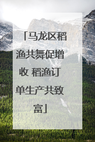 马龙区稻渔共舞促增收 稻渔订单生产共致富