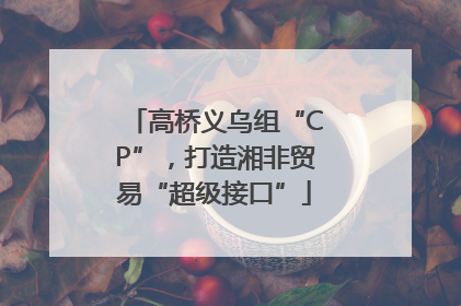 高桥义乌组“CP”，打造湘非贸易“超级接口”