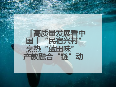 高质量发展看中国丨“民宿兴村”烹热“蓝田味” 产教融合“链”动发展新引擎