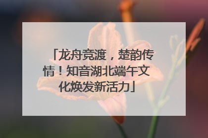 龙舟竞渡，楚韵传情！知音湖北端午文化焕发新活力