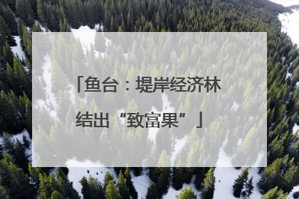 鱼台：堤岸经济林结出“致富果”