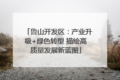 鲁山开发区：产业升级+绿色转型 描绘高质量发展新蓝图