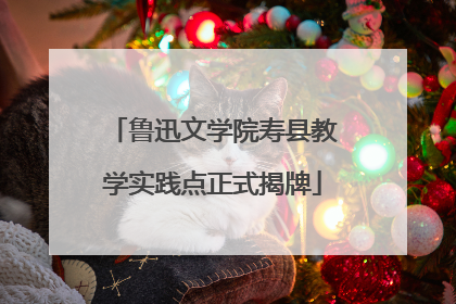 鲁迅文学院寿县教学实践点正式揭牌