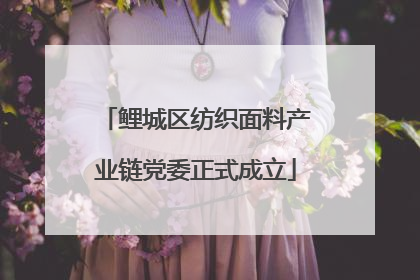 鲤城区纺织面料产业链党委正式成立