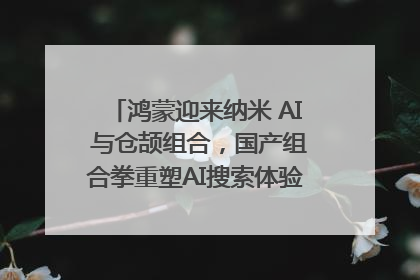 鸿蒙迎来纳米 AI 与仓颉组合，国产组合拳重塑AI搜索体验｜新经济观察