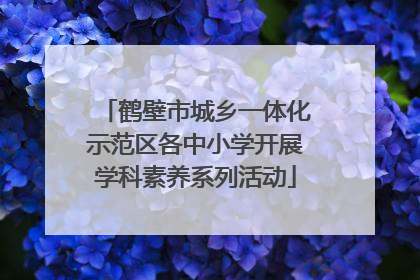 鹤壁市城乡一体化示范区各中小学开展学科素养系列活动