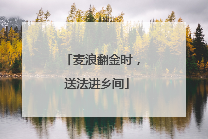 麦浪翻金时，送法进乡间