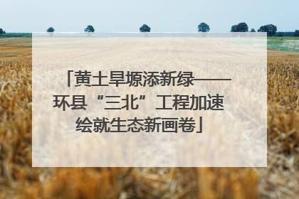 黄土旱塬添新绿——环县“三北”工程加速绘就生态新画卷