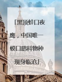 黑顶蛙口夜鹰，中国唯一蟆口鸱科物种现身临沧