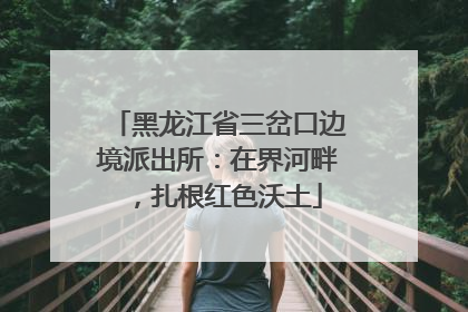 黑龙江省三岔口边境派出所：在界河畔，扎根红色沃土